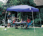 89901 e-z up instant canopy-dome.gif